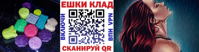 Купить закладки  Сегежа  Ecstasy круглые 