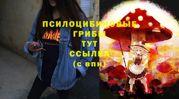 соль ск Верхнеуральск