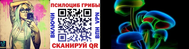 Псилоцибиновые грибы Psilocybine cubensis Купить закладки Сегежа